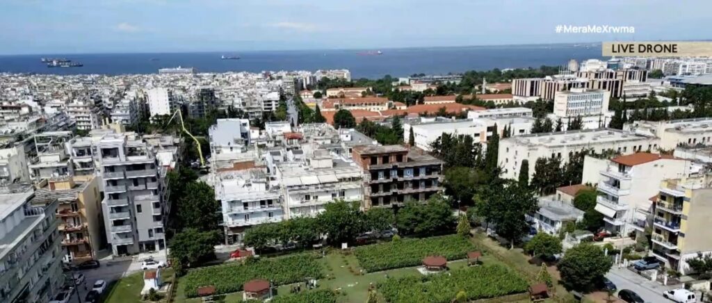 ένας-αμπελώνας-στο-κέντρο-της-θεσσαλο-1326629